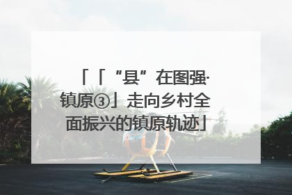 「“县”在图强·镇原③」走向乡村全面振兴的镇原轨迹