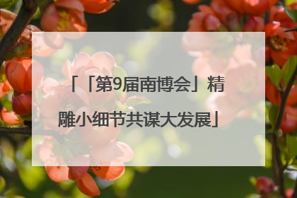 「第9届南博会」精雕小细节共谋大发展