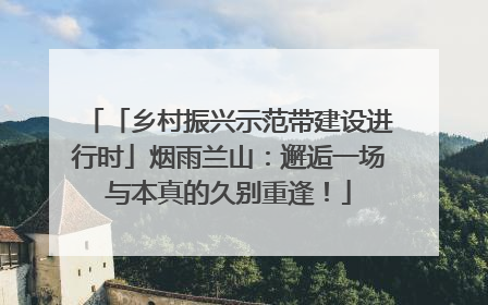 「乡村振兴示范带建设进行时」烟雨兰山：邂逅一场与本真的久别重逢！