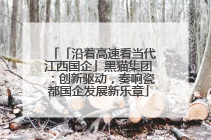 「沿着高速看当代江西国企」黑猫集团：创新驱动，奏响瓷都国企发展新乐章
