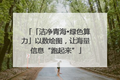 「洁净青海•绿色算力」以数绘图，让海量信息“跑起来”