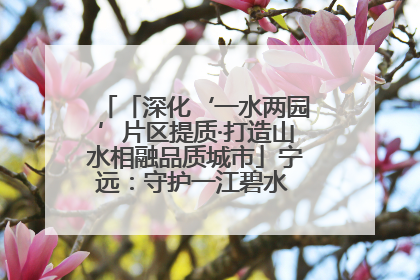 「深化‘一水两园’片区提质·打造山水相融品质城市」宁远：守护一江碧水 共享幸福河湖
