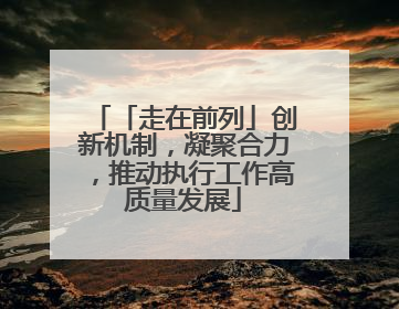 「走在前列」创新机制，凝聚合力，推动执行工作高质量发展