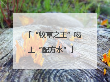 “牧草之王”喝上“配方水”