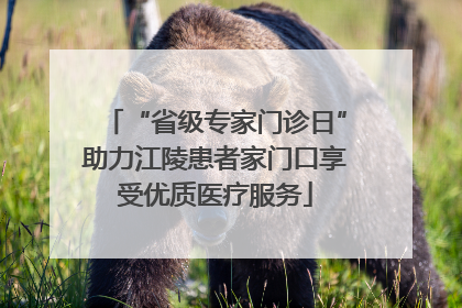 “省级专家门诊日”助力江陵患者家门口享受优质医疗服务