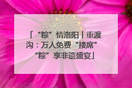 “粽”情洛阳丨重渡沟：万人免费“搂席” “粽”享非遗盛宴