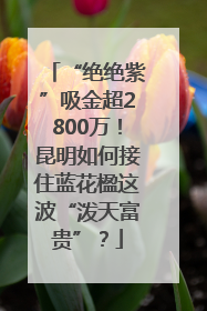 “绝绝紫”吸金超2800万！昆明如何接住蓝花楹这波“泼天富贵”？
