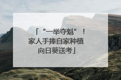 “一举夺魁”！家人手捧自家种植向日葵送考
