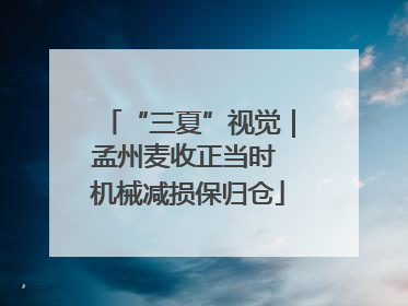 “三夏”视觉｜孟州麦收正当时 机械减损保归仓
