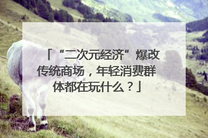 “二次元经济”爆改传统商场，年轻消费群体都在玩什么？