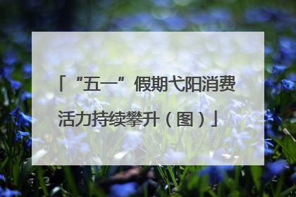 “五一”假期弋阳消费活力持续攀升（图）