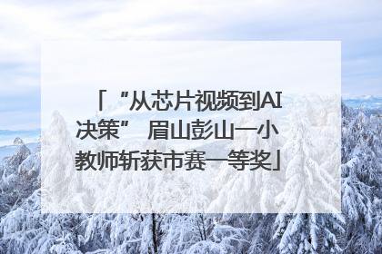 “从芯片视频到AI决策” 眉山彭山一小教师斩获市赛一等奖