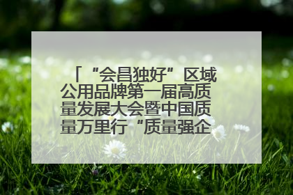 “会昌独好”区域公用品牌第一届高质量发展大会暨中国质量万里行“质量强企•质品行动”进会昌启动仪式成功举办