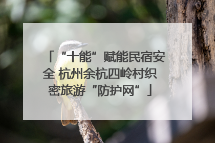 “十能”赋能民宿安全 杭州余杭四岭村织密旅游“防护网”