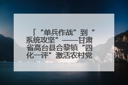 “单兵作战”到“系统攻坚”——甘肃省高台县合黎镇“四化一评”激活农村党员管理新引擎