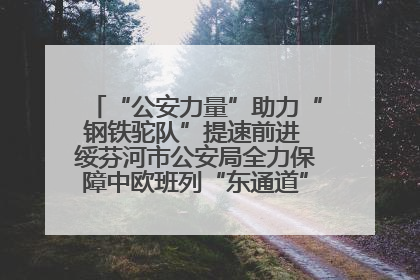“公安力量”助力“钢铁驼队”提速前进 绥芬河市公安局全力保障中欧班列“东通道”绥芬河隧道贯通