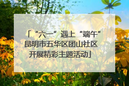“六一”遇上“端午” 昆明市五华区团山社区开展精彩主题活动