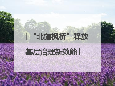 “北疆枫桥”释放基层治理新效能