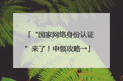“国家网络身份认证”来了！申领攻略→