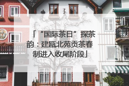 “国际茶日”探茶韵：建瓯北苑贡茶春制进入收尾阶段