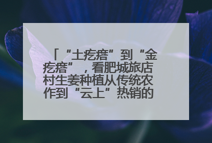 “土疙瘩”到“金疙瘩”，看肥城旅店村生姜种植从传统农作到“云上”热销的蝶变之路