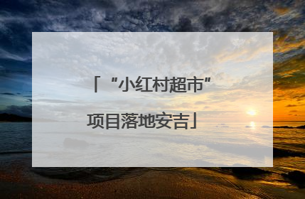 “小红村超市”项目落地安吉