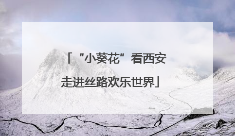 “小葵花”看西安走进丝路欢乐世界