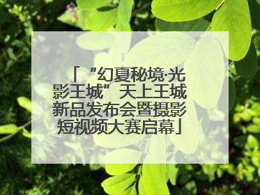 “幻夏秘境·光影王城”天上王城新品发布会暨摄影短视频大赛启幕