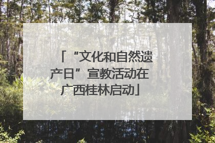 “文化和自然遗产日”宣教活动在广西桂林启动