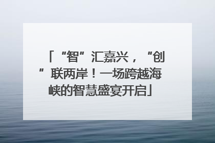 “智”汇嘉兴，“创”联两岸！一场跨越海峡的智慧盛宴开启