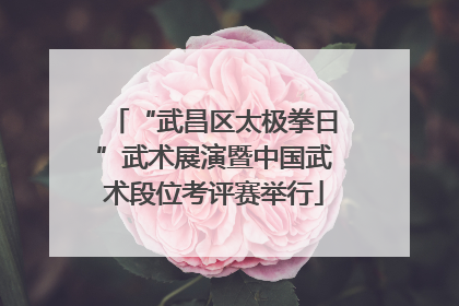 “武昌区太极拳日”武术展演暨中国武术段位考评赛举行