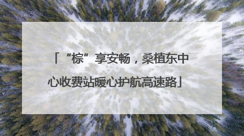 “棕”享安畅，桑植东中心收费站暖心护航高速路