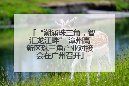 “潮涌珠三角，智汇龙江畔” 漳州高新区珠三角产业对接会在广州召开