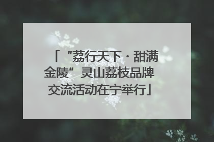 “荔行天下・甜满金陵”灵山荔枝品牌交流活动在宁举行