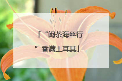“闽茶海丝行”香满土耳其
