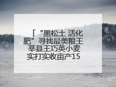 “黑松土 活化肥”寻找最美粮王 莘县王巧英小麦实打实收亩产1515.4斤 超对照田144斤！