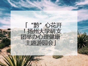 “黔”心花开！扬州大学研支团举办心理健康主题游园会