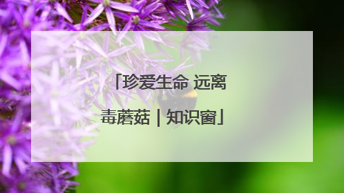 珍爱生命 远离毒蘑菇｜知识窗
