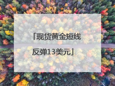 现货黄金短线反弹13美元