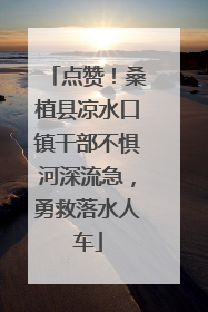 点赞！桑植县凉水口镇干部不惧河深流急，勇救落水人车