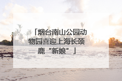 烟台南山公园动物园喜迎上海长颈鹿“新娘”