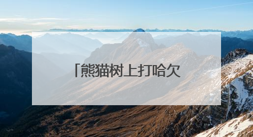 熊猫树上打哈欠，黑熊抓痕好清晰！川陕甘三省联合巡护直击