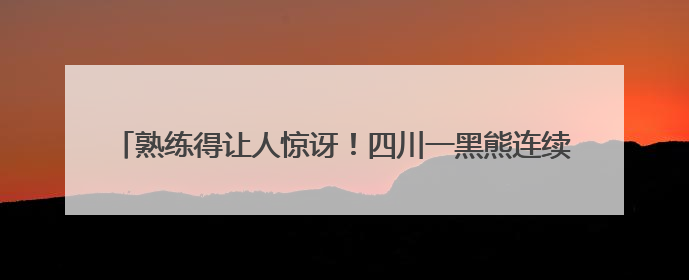 熟练得让人惊讶！四川一黑熊连续3年进村偷蜂蜜，藏哪都找得到