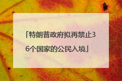 特朗普政府拟再禁止36个国家的公民入境