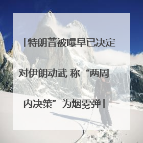 特朗普被曝早已决定对伊朗动武 称“两周内决策”为烟雾弹