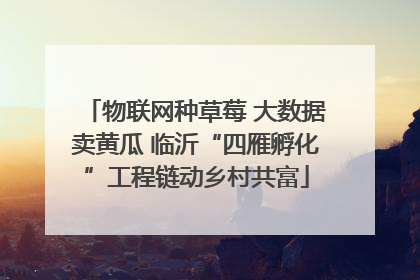 物联网种草莓 大数据卖黄瓜 临沂“四雁孵化”工程链动乡村共富
