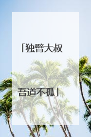 独臂大叔 吾道不孤