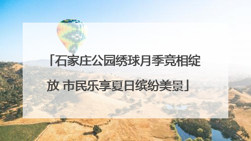 石家庄公园绣球月季竞相绽放 市民乐享夏日缤纷美景