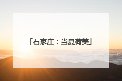 石家庄：当夏荷美