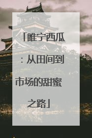 睢宁西瓜：从田间到市场的甜蜜之路